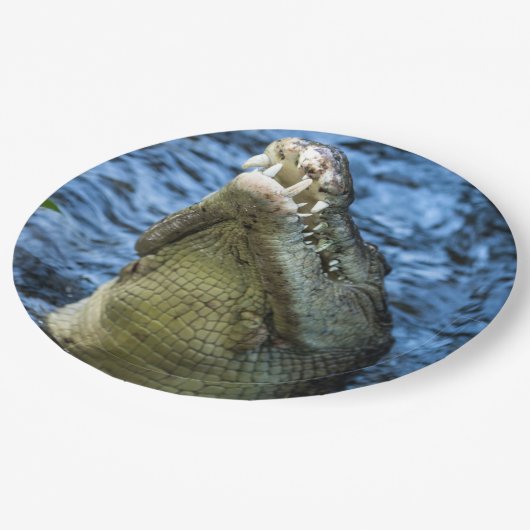 Crocodile Teeth Water Papieren Bordje (Gekanteld)