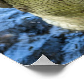 Crocodile Teeth Water Poster (Hoek)