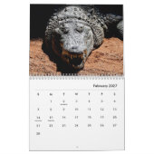 Crocodiles Wall Agenda Kalender (Feb 2027)