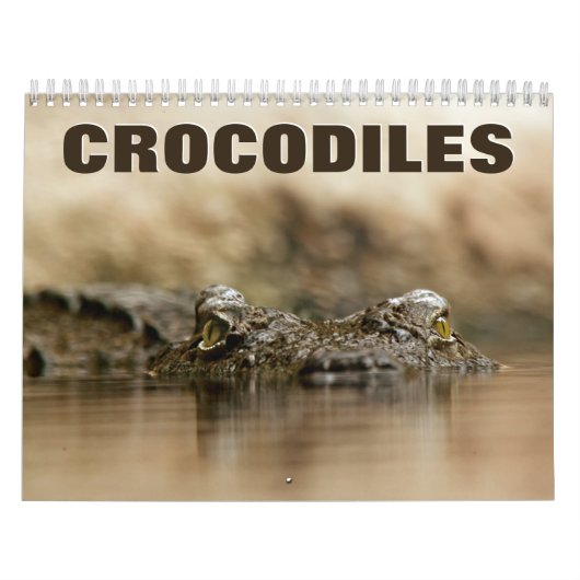 Crocodiles Wall Agenda Kalender (Hoes)