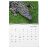 Crocodiles Wall Agenda Kalender (Mar 2026)