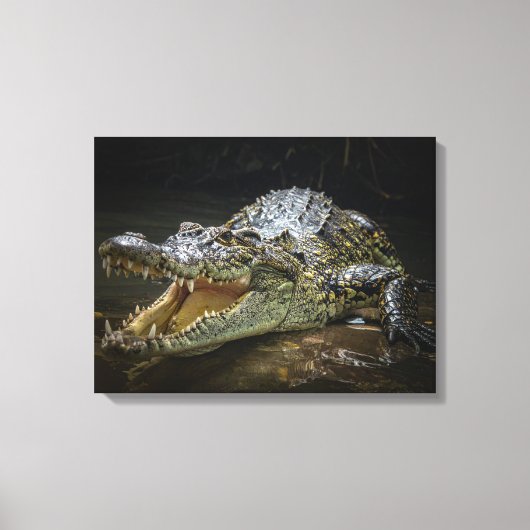 Crocodille Doekprint  Canvas Afdruk (Voorkant)