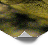 Crocodylus Moreletii Close-up Poster (Hoek)