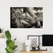 Crocodylus Moreletii Poster (Thuiskantoor)