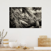 Crocodylus Moreletii Poster (Keuken)
