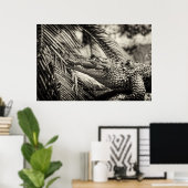 Crocodylus Moreletii Poster (Thuiskantoor)