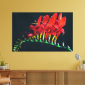 Crocosomia Lucifer Montbretia Floral Canvas Afdruk (Insitu (Woonkamer))