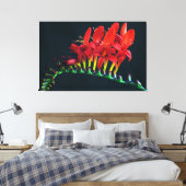 Crocosomia Lucifer Montbretia Floral Canvas Afdruk (Insitu (Slaapkamer))