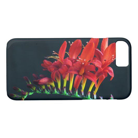 Crocosomia Lucifer Montbretia Floral Case-Mate iPhone Case (Achterkant (Horizontaal))