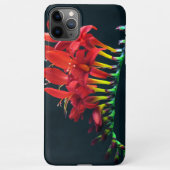 Crocosomia Lucifer Montbretia Floral iPhone Hoesje (Achterkant)