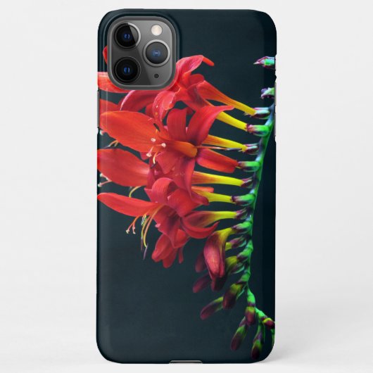 Crocosomia Lucifer Montbretia Floral iPhone Hoesje (Achterkant)