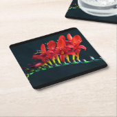Crocosomia Lucifer Montbretia Floral Kartonnen Onderzetters (Schuin)