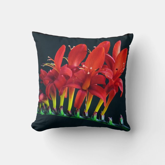Crocosomia Lucifer Montbretia Floral Kussen (Voorkant)