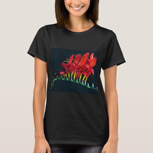 Crocosomia Lucifer Montbretia Floral T-shirt (Voorkant)