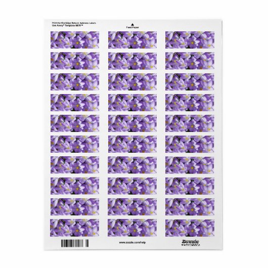 crocus-1047 LICHTE PAARSE GEEL WITTE ROCUS FLOWE Etiket (Full Sheet)
