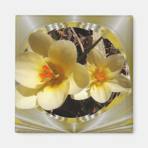 Crocus 20 ~ magnet