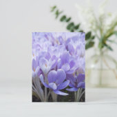 Crocus Ansichtkaart Briefkaart (Staand voorkant)