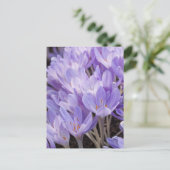 Crocus Ansichtkaart Briefkaart (Staand voorkant)