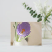Crocus Arrangement Briefkaart (Staand voorkant)