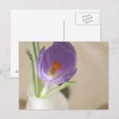 Crocus Arrangement Briefkaart (Voorkant / Achterkant)