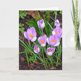 Crocus Bloem Gelukkig Pasen Kaart