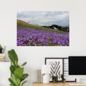 Crocus bloemen op Velika Planina, Slovenië Poster (Thuiskantoor)
