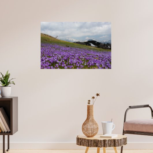 Crocus bloemen op Velika Planina, Slovenië Poster (Woonkamer 3)