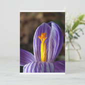 Crocus Blossom - Uitnodiging (Staand voorkant)