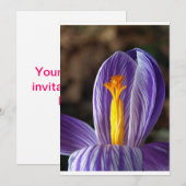 Crocus Blossom - Uitnodiging (Voorkant / Achterkant)