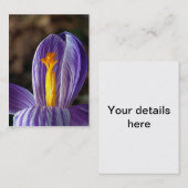 Crocus Blossom - Visitekaartje (Voorkant / Achterkant)