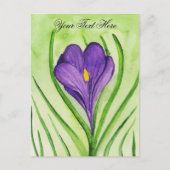 Crocus Briefkaart (Voorkant)