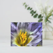 Crocus Briefkaart (Staand voorkant)