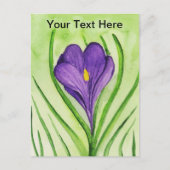 Crocus Briefkaart (Voorkant)