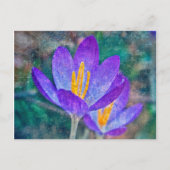 Crocus Briefkaart (Voorkant)
