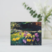 crocus briefkaart (Staand voorkant)