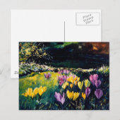 crocus briefkaart (Voorkant / Achterkant)