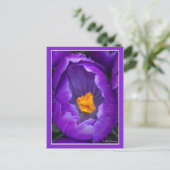 Crocus Briefkaart (Staand voorkant)