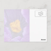 Crocus Briefkaart (Achterkant)