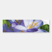 Crocus Bumpersticker (Voorkant)