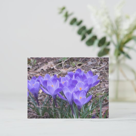 Crocus Bunch Briefkaart (Staand voorkant)