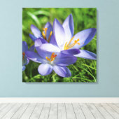 Crocus Canvas Afdruk (Insitu (Houten vloer))
