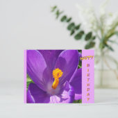 Crocus Close-Up Gelukwenskaart Briefkaart (Staand voorkant)