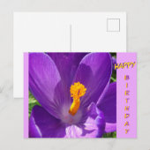 Crocus Close-Up Gelukwenskaart Briefkaart (Voorkant / Achterkant)