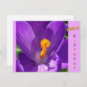 Crocus Close-up Happy Birthday Briefkaart (Voorkant / Achterkant)