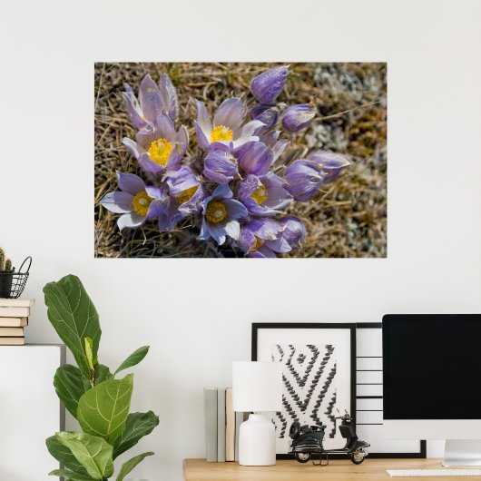 Crocus Cluster Poster (Thuiskantoor)