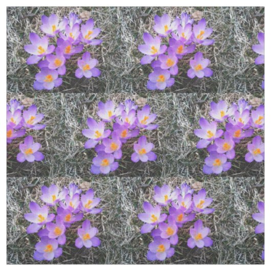 CROCUS EERSTE TEKENEN VAN SPRING stof (Swatch)