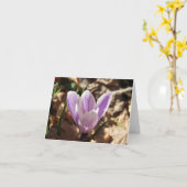 Crocus Emerging card (blanco) Kaart (Gele Bloem)