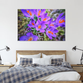 Crocus Fine Art Canvas Afdruk