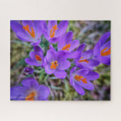 Crocus Fine Art Legpuzzel (Horizontaal)