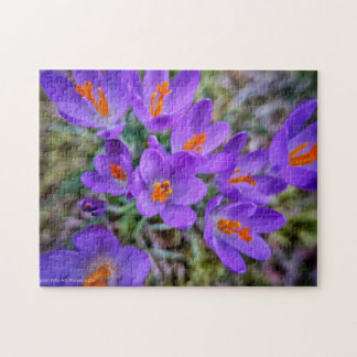 Crocus Fine Art Legpuzzel